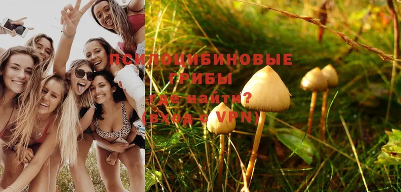 OMG вход  Биробиджан  Галлюциногенные грибы MAGIC MUSHROOMS 